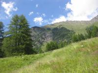 ... und nun geht es langsam wieder hinunter