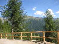 Auf der Forststraße, die wir hinauf gefahren sind 