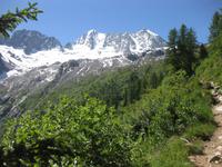 Auf dem Weg zur Denza Hütte - Nordwand der Cima Presanella (3558 m) 