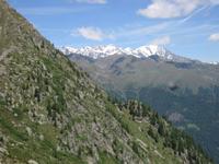Blick von der Denza Hütte in Richtung Monte Voiz 