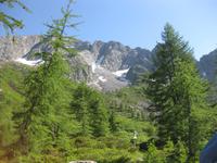 ... und noch ein Blick hinauf