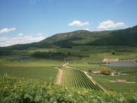 Südtiroler Weinstraße