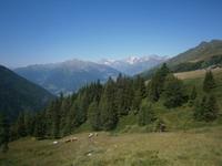 Im Hintergrund die Texelgruppe