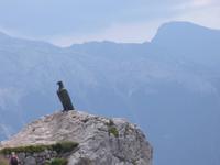 Christomannos-Denkmal am Rosengarten