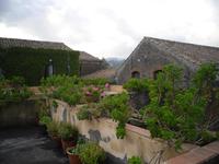 Weingut bei Viagrande