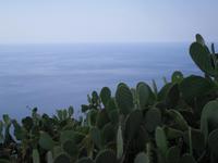 Inselrundfahrt Lipari