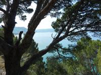 Blick auf den Strand von Santa Maria de Castellabate