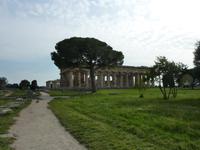 Tempel in Paestum
