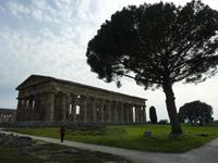 Tempel in Paestum