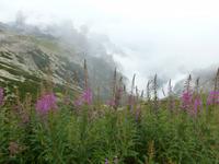 Drei Zinnen - im Nebel