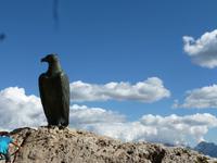 Chritomannos Denkmal