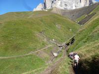 Weg zur Plattkofel Hütte