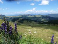 Blick zur Seiser Alm