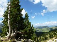 Blick zur Seiser Alm