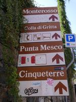 immer auf dem richtigen Weg...