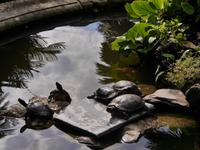 Santa Margherita Villa Durazo