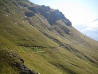 ... und dann am Hang entlang. 