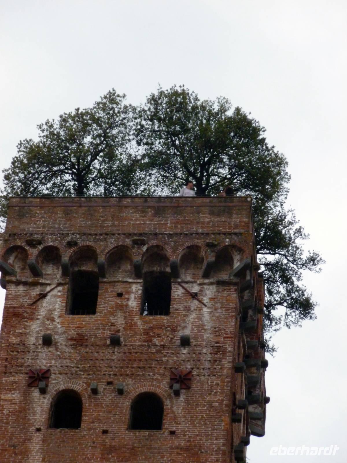 Lucca, Guigni Turm