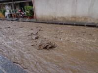 und nahmen alles mit. 