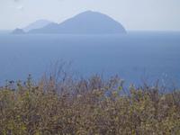  nebulöse Nachbarn von Salina