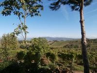 Toskana-Besuch Bauernhof