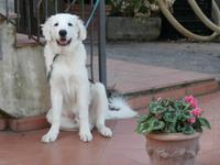 Toskana-Besuch Bauernhof