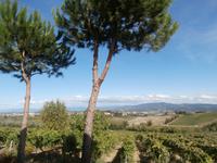 Toskana-Besuch Bauernhof