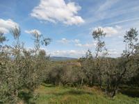 Toskana-Besuch Bauernhof