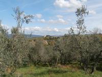 Toskana-Besuch Bauernhof