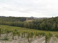 Wein im Agriturismo Il Vecchio Maneggio