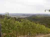 Toskana Blick