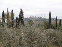 Blick auf San Gimignano