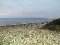 San Vincenzo am Meer