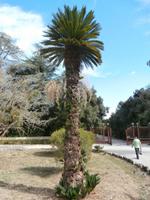 Napoleon-Villa auf Elba