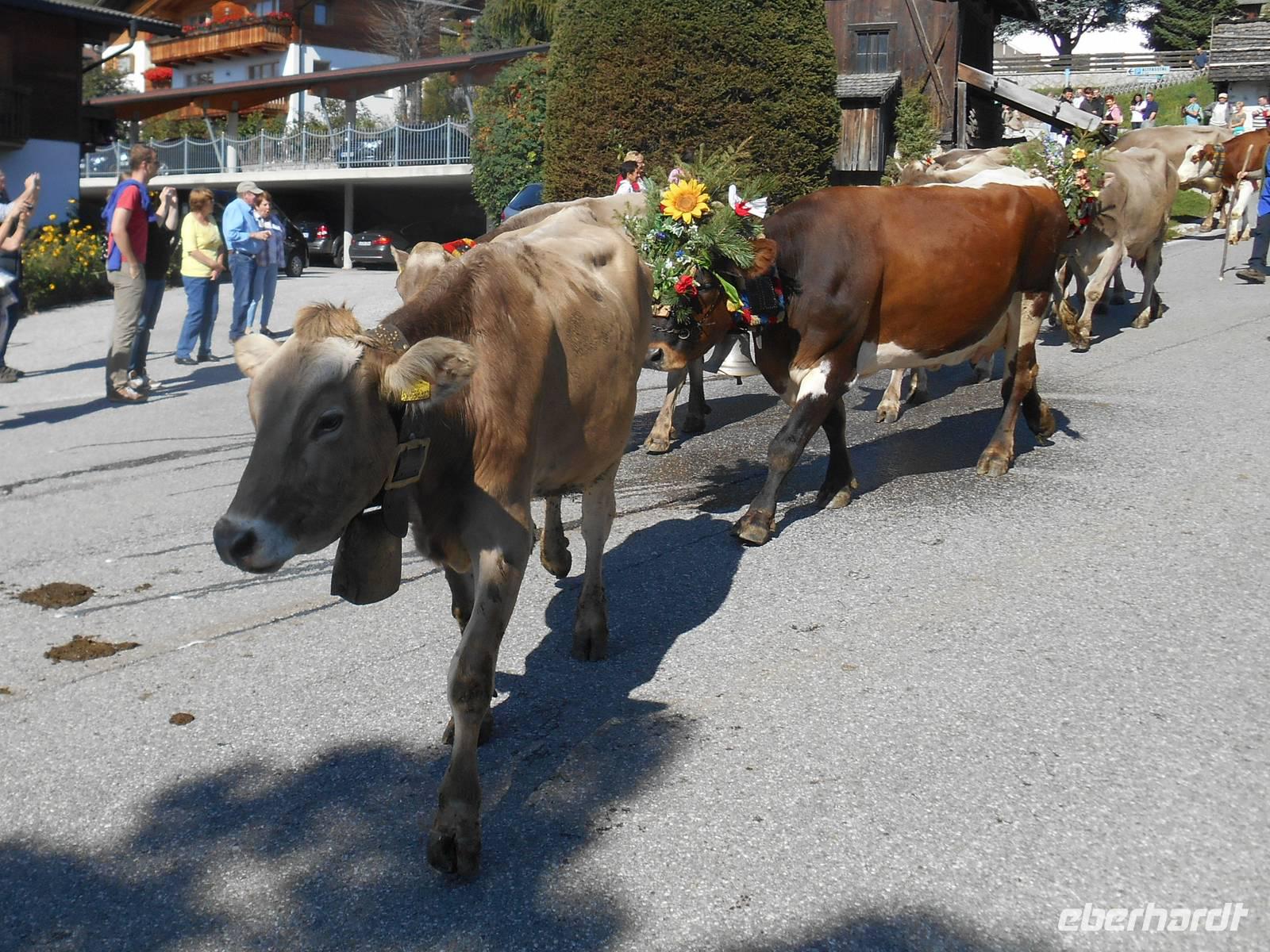 Almabtrieb in Meransen
