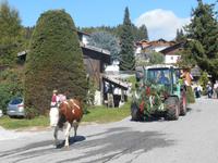 Almabtrieb in Meransen