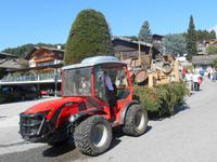 Almabtrieb in Meransen