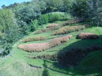 Gärten von Schloss Trauttmansdorff