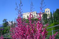 Gärten von Schloss Trauttmansdorff