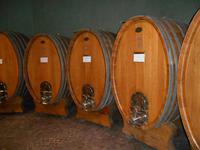 Südtiroler Weinstraße (Weinkellerei 