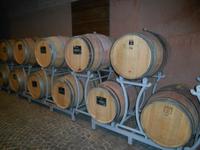 Südtiroler Weinstraße (Weinkellerei 