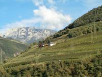 Südtirol-der Rosengarten