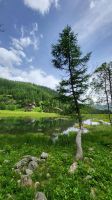 108 – Italien, Trentino, Peio Tal, Wanderung