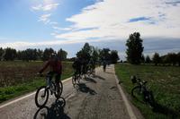 ... auf schönen Radwegen