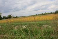 Entspannt durch die Landschaft