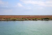 Offenes Land in der Lagune