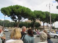 Auf dem Weg zur Engelsburg