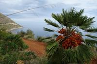 Naturreservat Zingaro