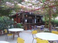 Italien, Cilento, Pioppi