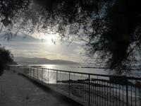 Italien, Cilento, Pioppi